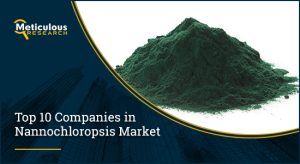 TOP 10 COMPANIES IN NANNOCHLOROPSIS MARKET